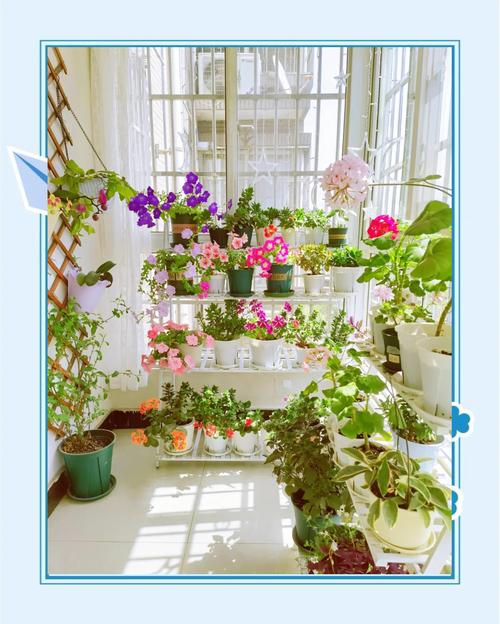 花开成串，这些花可比开爆盆好看多了，花开成串的都有什么花？