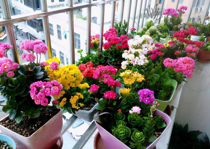 花开成串，这些花可比开爆盆好看多了，花开成串的都有什么花？-第2张图片-优品飞百科