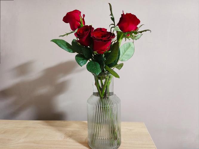 玫瑰花怎么养在花瓶里？玫瑰花怎么养在花瓶里才不会枯萎？-第1张图片-优品飞百科