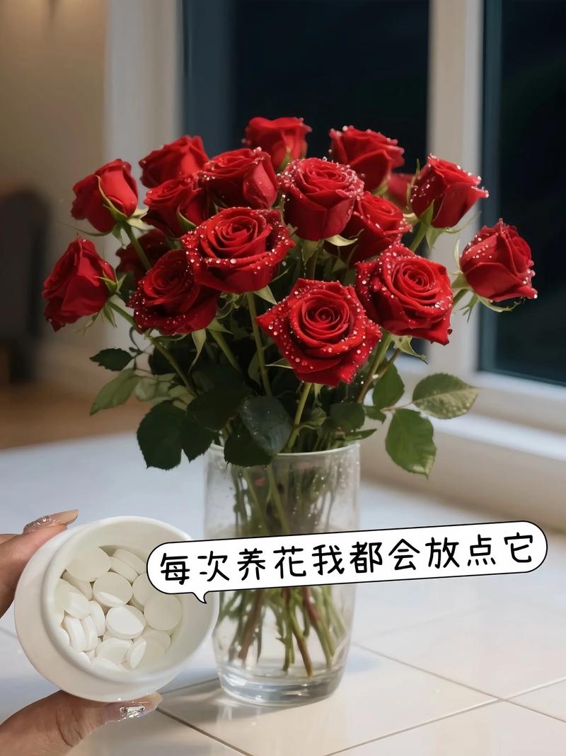 玫瑰花怎么养在花瓶里？玫瑰花怎么养在花瓶里才不会枯萎？-第3张图片-优品飞百科