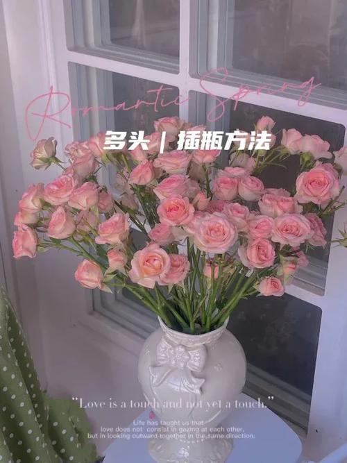 玫瑰花怎么养在花瓶里？玫瑰花怎么养在花瓶里才不会枯萎？-第4张图片-优品飞百科