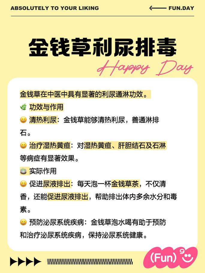 金钱草泡水喝的功效，金钱草泡水喝的功效与副作用-第5张图片-优品飞百科