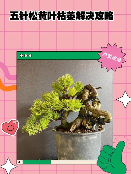 冬季植物缺少光照怎么办？冬季植物需要补光吗？-第6张图片-优品飞百科