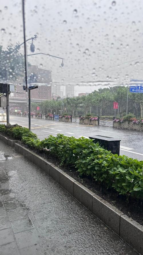 上海闵行天气预报查询最新，上海天气上海闵行天气-第5张图片-优品飞百科