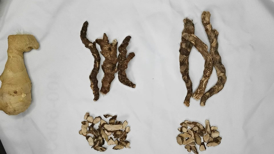 石菖蒲和水菖蒲的区别？石菖蒲和水菖蒲的区别图片 中药材？-第4张图片-优品飞百科