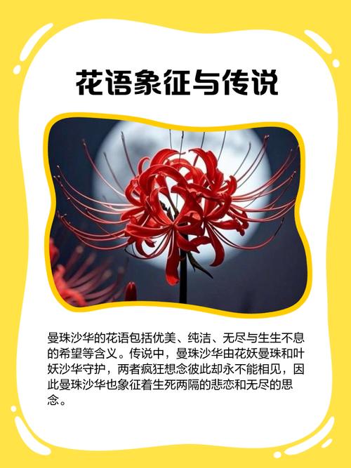 彼岸花是曼陀罗花吗，彼岸花和曼陀罗花有什么区别？彼岸花和曼陀罗的传说？-第4张图片-优品飞百科