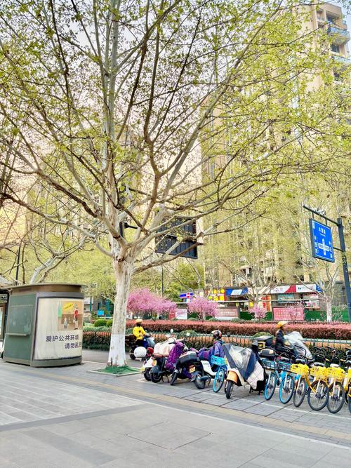 杭州4月下旬天气？杭州四月下旬天气？-第3张图片-优品飞百科