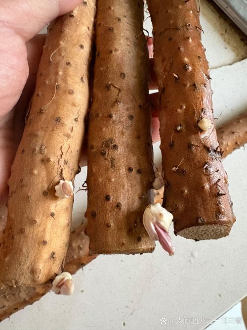 山药什么季节有，山药在哪个季节好？-第4张图片-优品飞百科