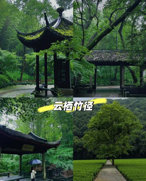 杭州西湖天气情况？杭州西湖天气预报一周天气？-第4张图片-优品飞百科