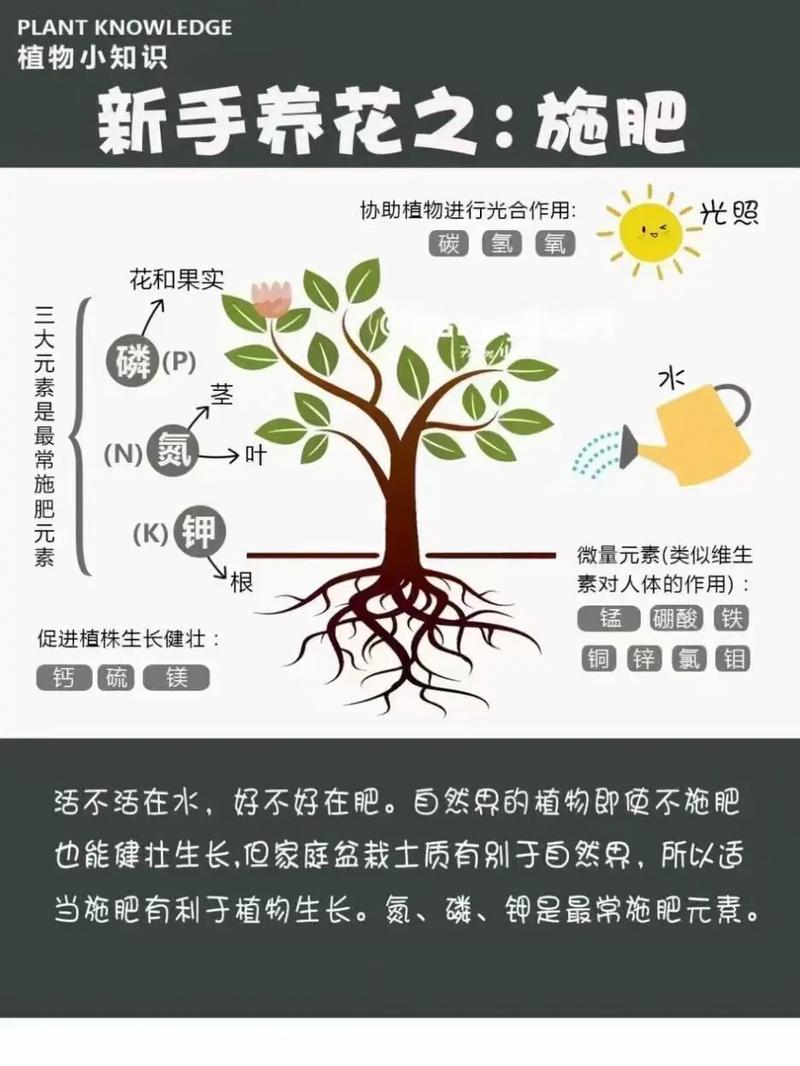 花卉的施肥原则，80种常见花卉施肥攻略？-第1张图片-优品飞百科