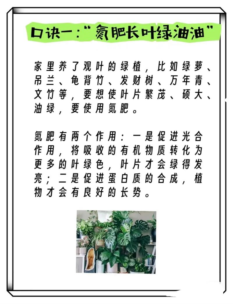 花卉的施肥原则，80种常见花卉施肥攻略？-第2张图片-优品飞百科