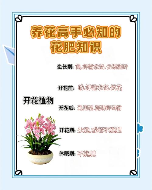 花卉的施肥原则，80种常见花卉施肥攻略？-第3张图片-优品飞百科