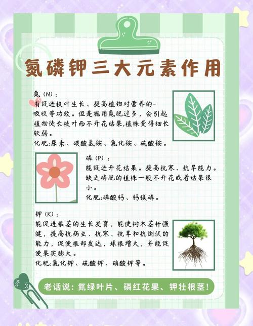 花卉的施肥原则，80种常见花卉施肥攻略？-第6张图片-优品飞百科