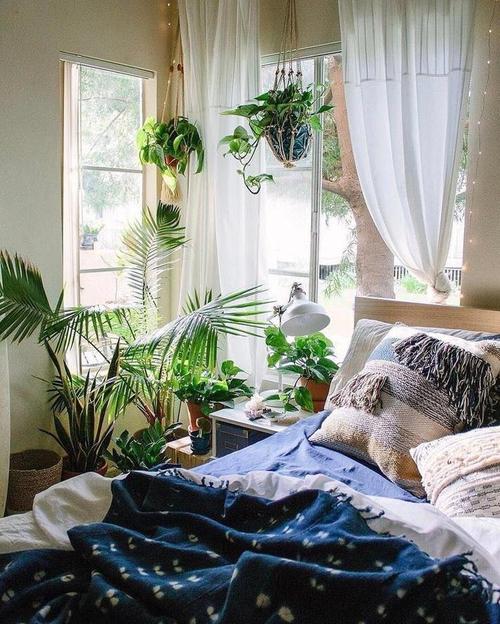 最适合放卧室的十种花？镇宅挡煞的最厉害的花？-第3张图片-优品飞百科