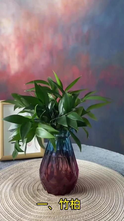 最适合放卧室的十种花？镇宅挡煞的最厉害的花？-第5张图片-优品飞百科