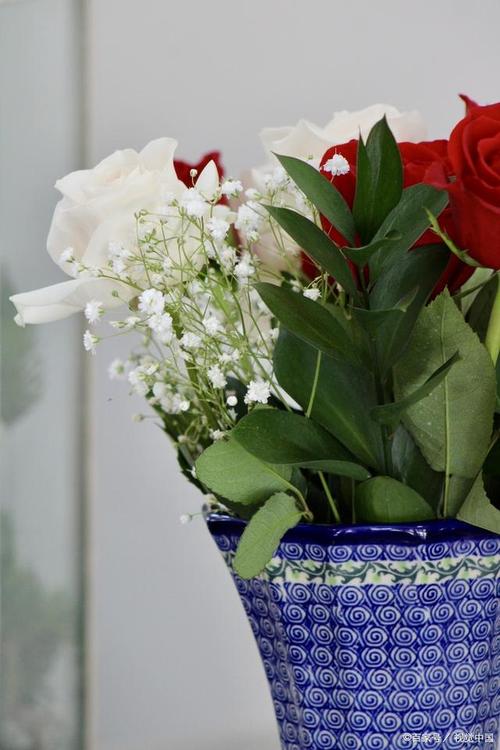 最适合放卧室的十种花？镇宅挡煞的最厉害的花？-第6张图片-优品飞百科