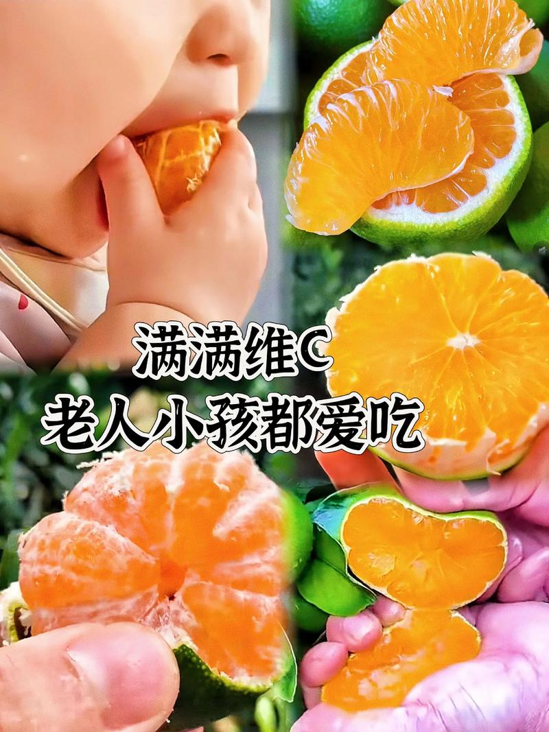 橘子树苗种植方法，橘子树苗如何种植？-第2张图片-优品飞百科