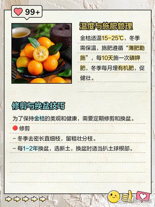 北方盆栽桔子树怎么养，北方盆栽桔子树怎么养护和管理？-第3张图片-优品飞百科