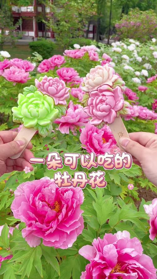 牡丹花能吃吗，牡丹花能吃吗有什么功效？