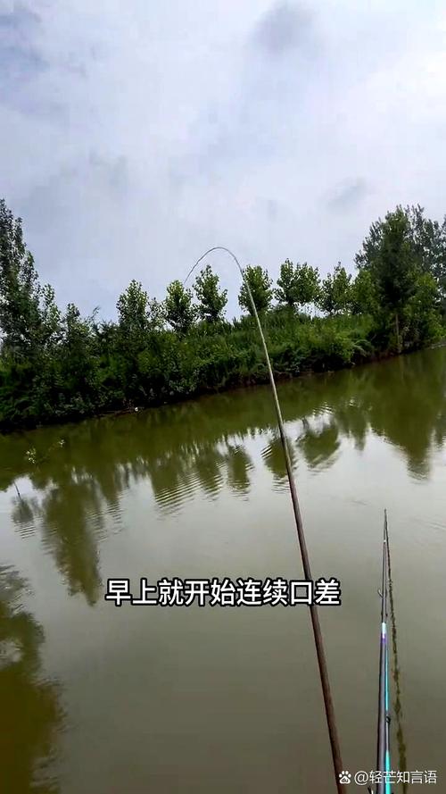 今天上海嘉定天气，上海嘉定昨天天气-第7张图片-优品飞百科