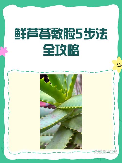 芦荟怎么敷脸，芦荟怎么敷脸再敷面膜？-第2张图片-优品飞百科