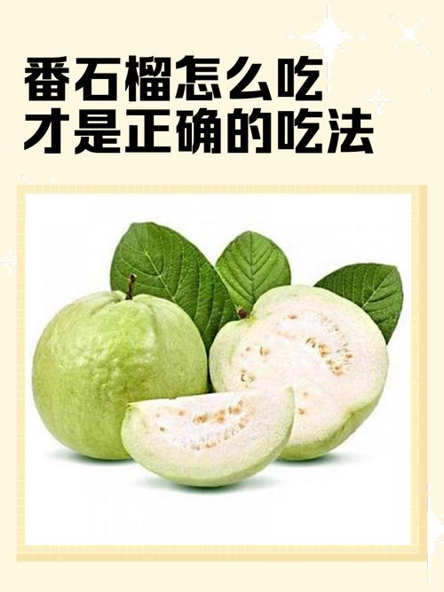 吃剩下的“石榴籽”可别扔的简单介绍-第2张图片-优品飞百科