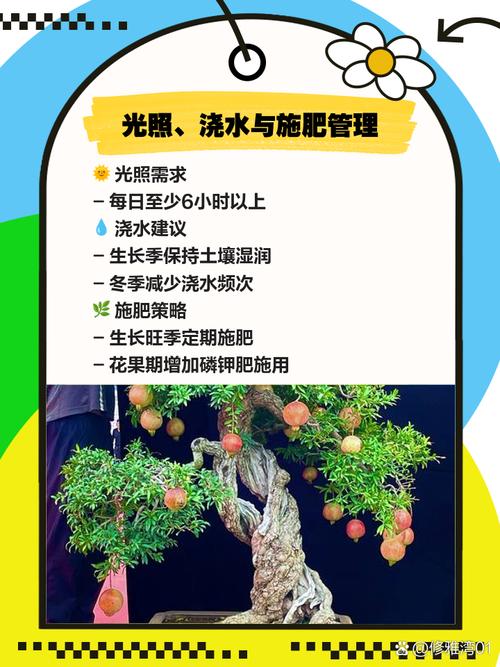 吃剩下的“石榴籽”可别扔的简单介绍-第6张图片-优品飞百科