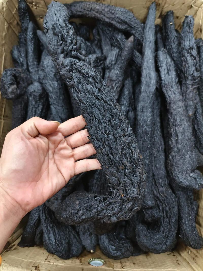 关于野生肉苁蓉怎么辨别，多少钱一斤的信息-第1张图片-优品飞百科