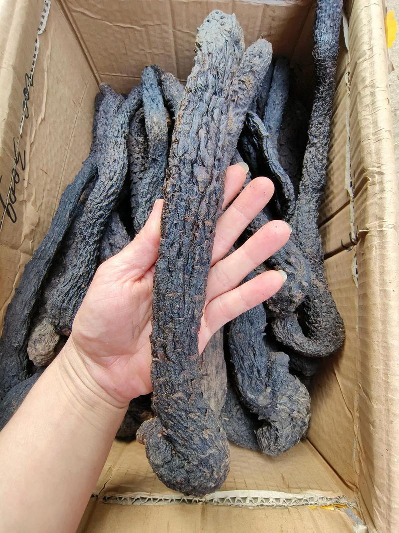 关于野生肉苁蓉怎么辨别，多少钱一斤的信息-第5张图片-优品飞百科