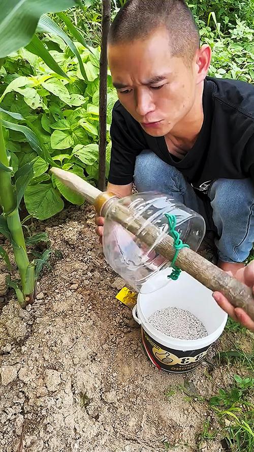 玉米秸秆发酵有机肥，玉米秸秆发酵有机肥氮磷钾的含量是多少？-第5张图片-优品飞百科