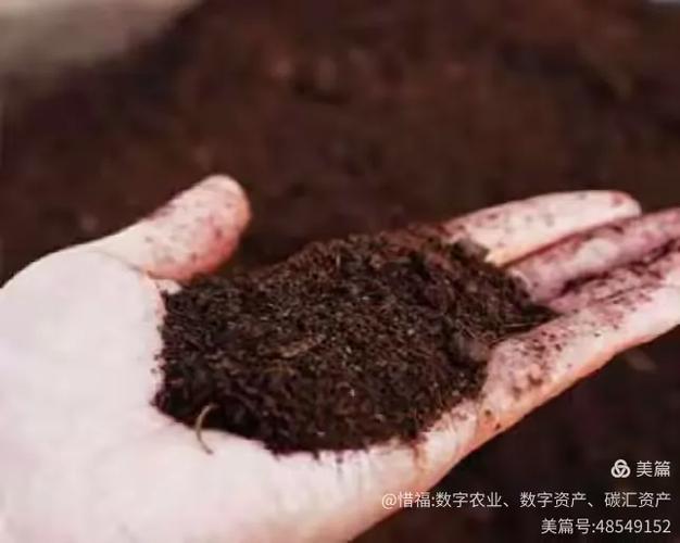 玉米秸秆发酵有机肥，玉米秸秆发酵有机肥氮磷钾的含量是多少？-第7张图片-优品飞百科