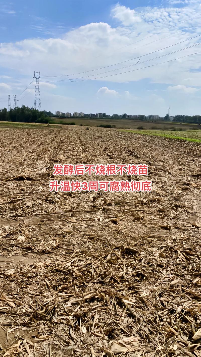 玉米秸秆发酵有机肥，玉米秸秆发酵有机肥氮磷钾的含量是多少？-第8张图片-优品飞百科