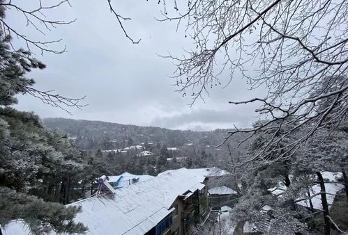 庐山市天气预报30天查询？庐山市天气预报30天查询表？-第3张图片-优品飞百科