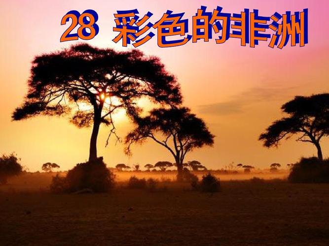 那些疑似来自非洲的花花？非洲的一些花名？-第1张图片-优品飞百科