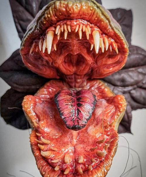 那些疑似来自非洲的花花？非洲的一些花名？-第3张图片-优品飞百科