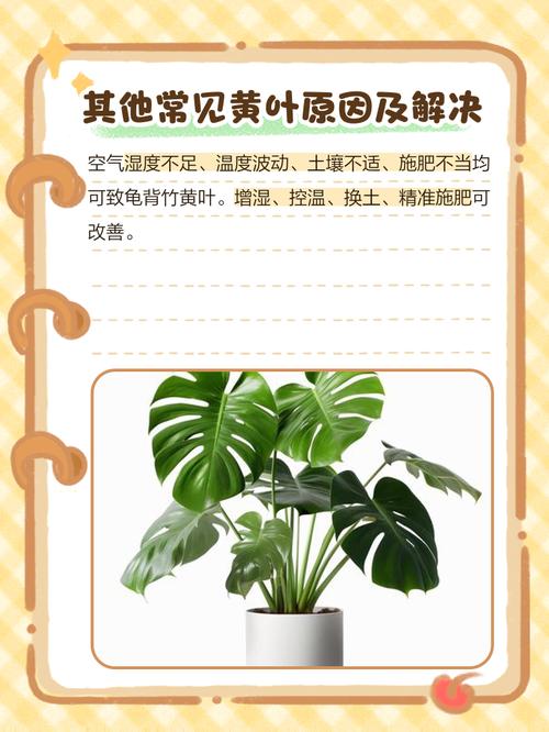 龟背竹锈病怎么办，龟背竹锈病怎么办能治好吗？-第2张图片-优品飞百科