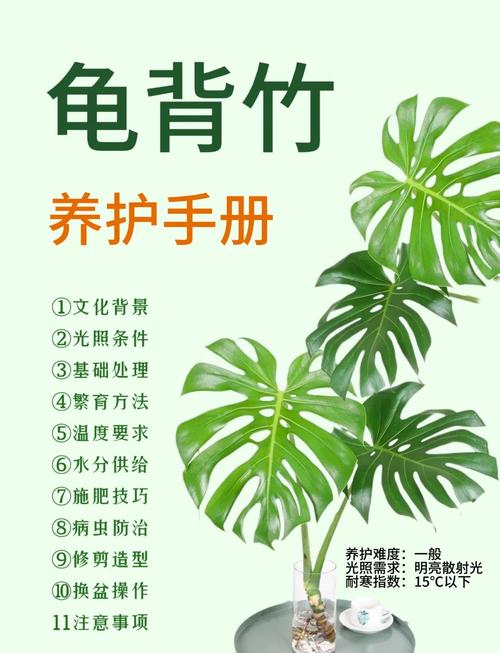 龟背竹锈病怎么办，龟背竹锈病怎么办能治好吗？-第4张图片-优品飞百科