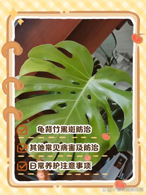 龟背竹锈病怎么办，龟背竹锈病怎么办能治好吗？-第5张图片-优品飞百科