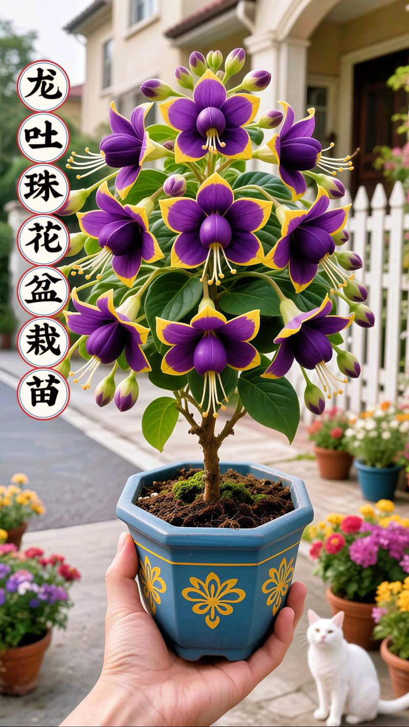 龙吐珠的养殖方法和养殖注意事项，龙吐珠的种植方法和注意事项？-第6张图片-优品飞百科