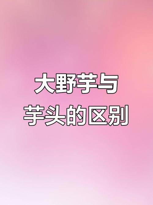 怎样区分芋和滴水观音？芋和滴水观音的区别？-第4张图片-优品飞百科