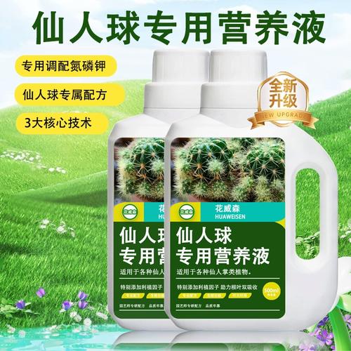 仙人掌用什么肥料好，仙人掌施肥吗?用什么施肥？-第2张图片-优品飞百科