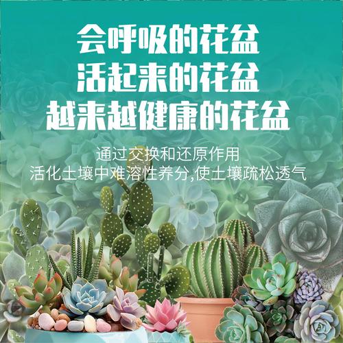 仙人掌用什么肥料好，仙人掌施肥吗?用什么施肥？-第4张图片-优品飞百科