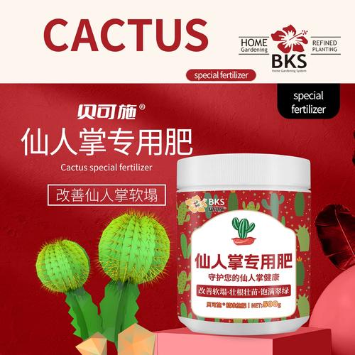 仙人掌用什么肥料好，仙人掌施肥吗?用什么施肥？-第5张图片-优品飞百科