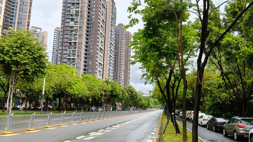 龙岗天气24小时天气，龙岗天气24小时天气预报查询？-第2张图片-优品飞百科