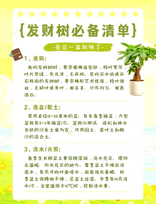 发财树春天施肥方法，发财树春季怎样施肥-第6张图片-优品飞百科