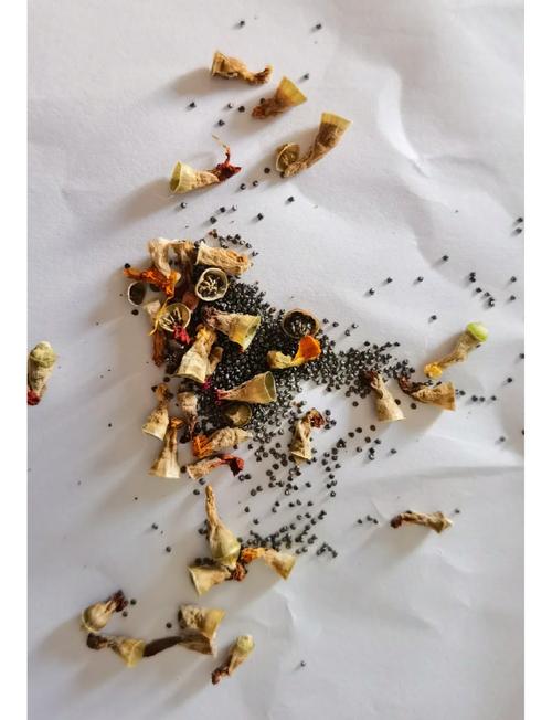 大花马齿苋的养殖方法，大花马齿苋的最佳食用方法？