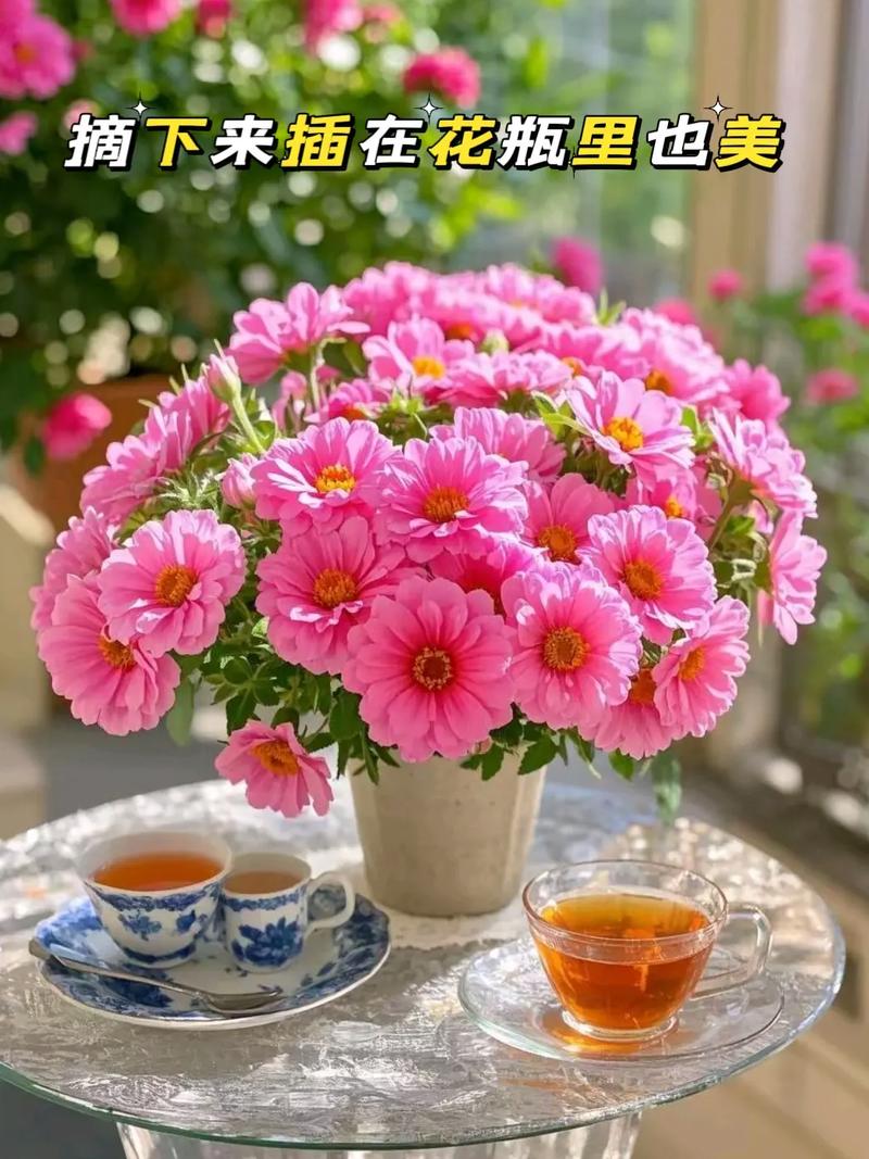 大花马齿苋的养殖方法，大花马齿苋的最佳食用方法？-第2张图片-优品飞百科