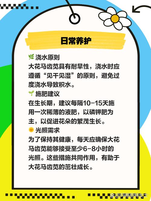 大花马齿苋的养殖方法，大花马齿苋的最佳食用方法？-第5张图片-优品飞百科