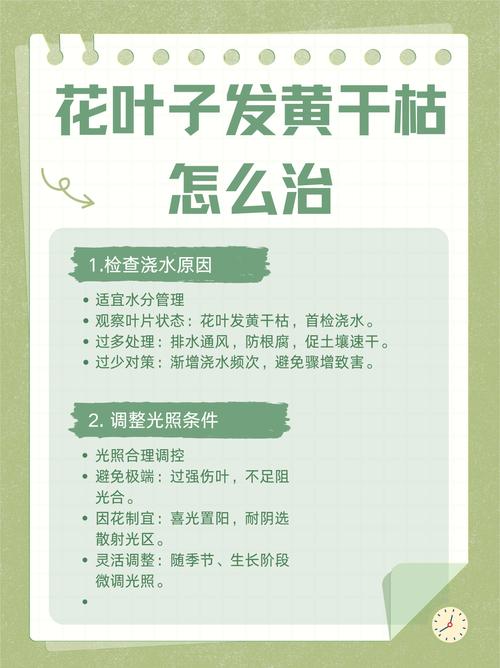 油菜花黄叶的原因和处理办法？油菜花又黄了？-第5张图片-优品飞百科