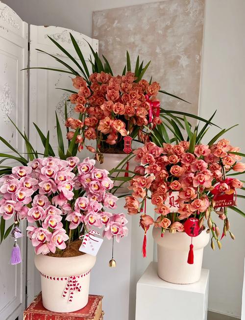 大花蕙兰一年开几次花，大花蕙兰是一年生还是多年生-第2张图片-优品飞百科